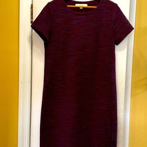 LOFT Dresses & Skirts - Ann Taylor LOFT Elegant Purple Women's Shift Dress! New!
